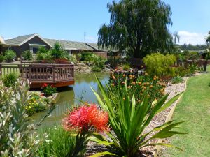 The original pond in Banksia Village